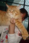      My Cat's Cradle Fisher